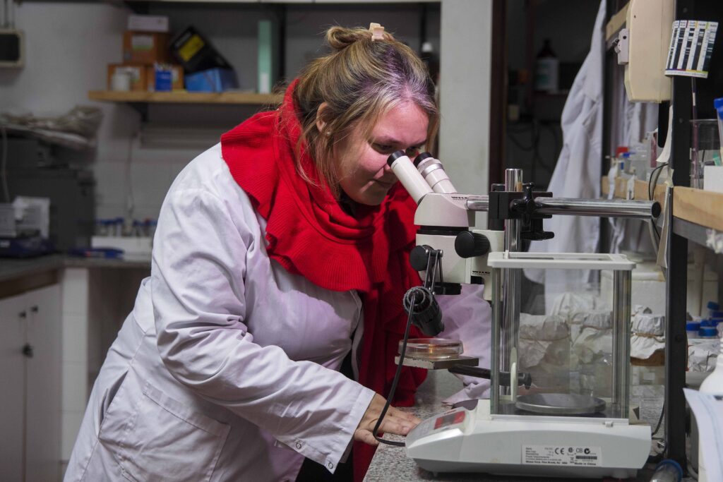 La UNLP participa de una investigación internacional