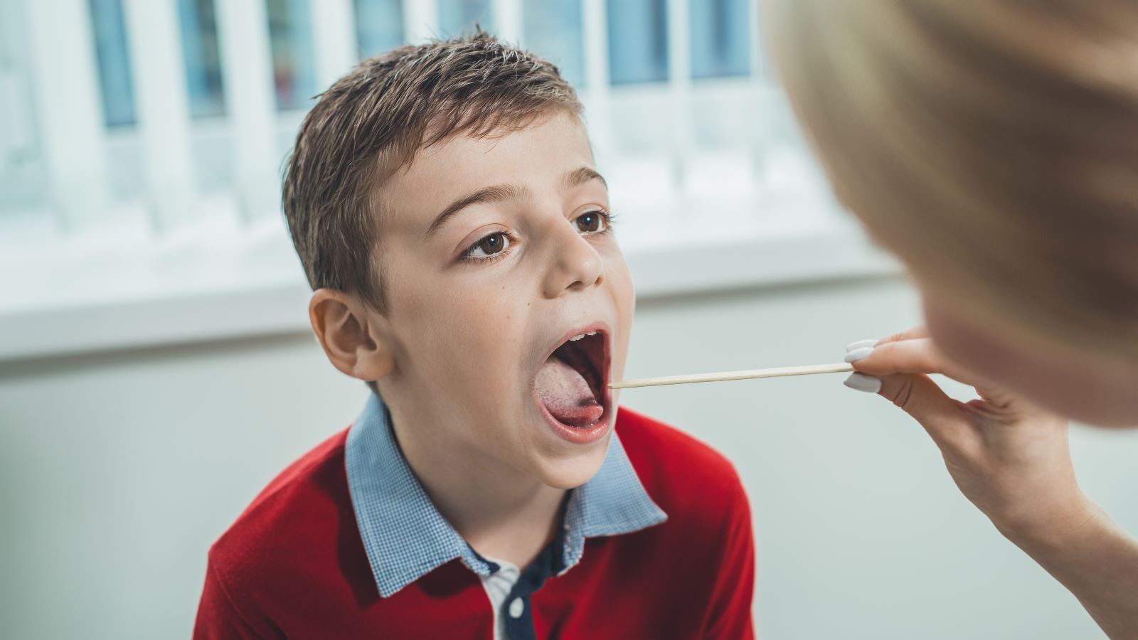 De qué trata la bacteria Streptococcus pyogenes, que ya afecta a casi 500 personas en el país