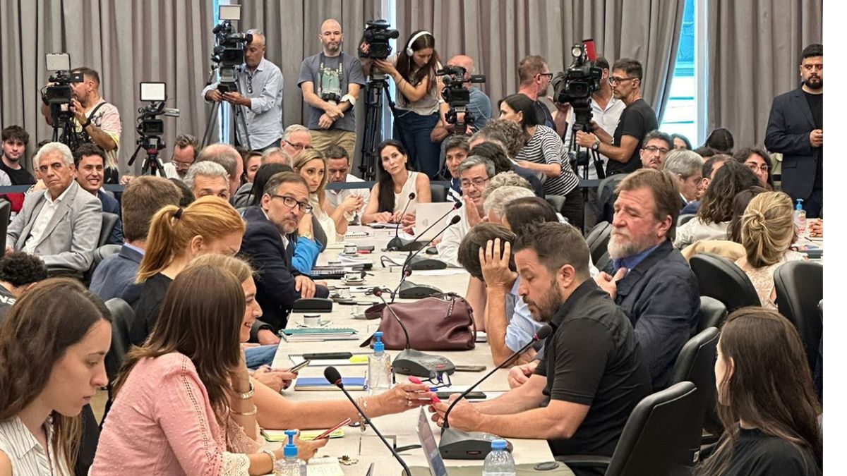 Ley ómnibus: el PRO adelantó que apoyará el proyecto del Ejecutivo