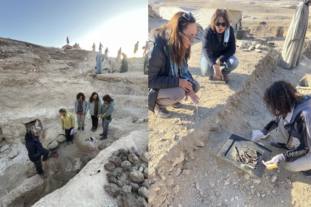 Investigadores de la UNLP avanzan con exploraciones importantes en Egipto