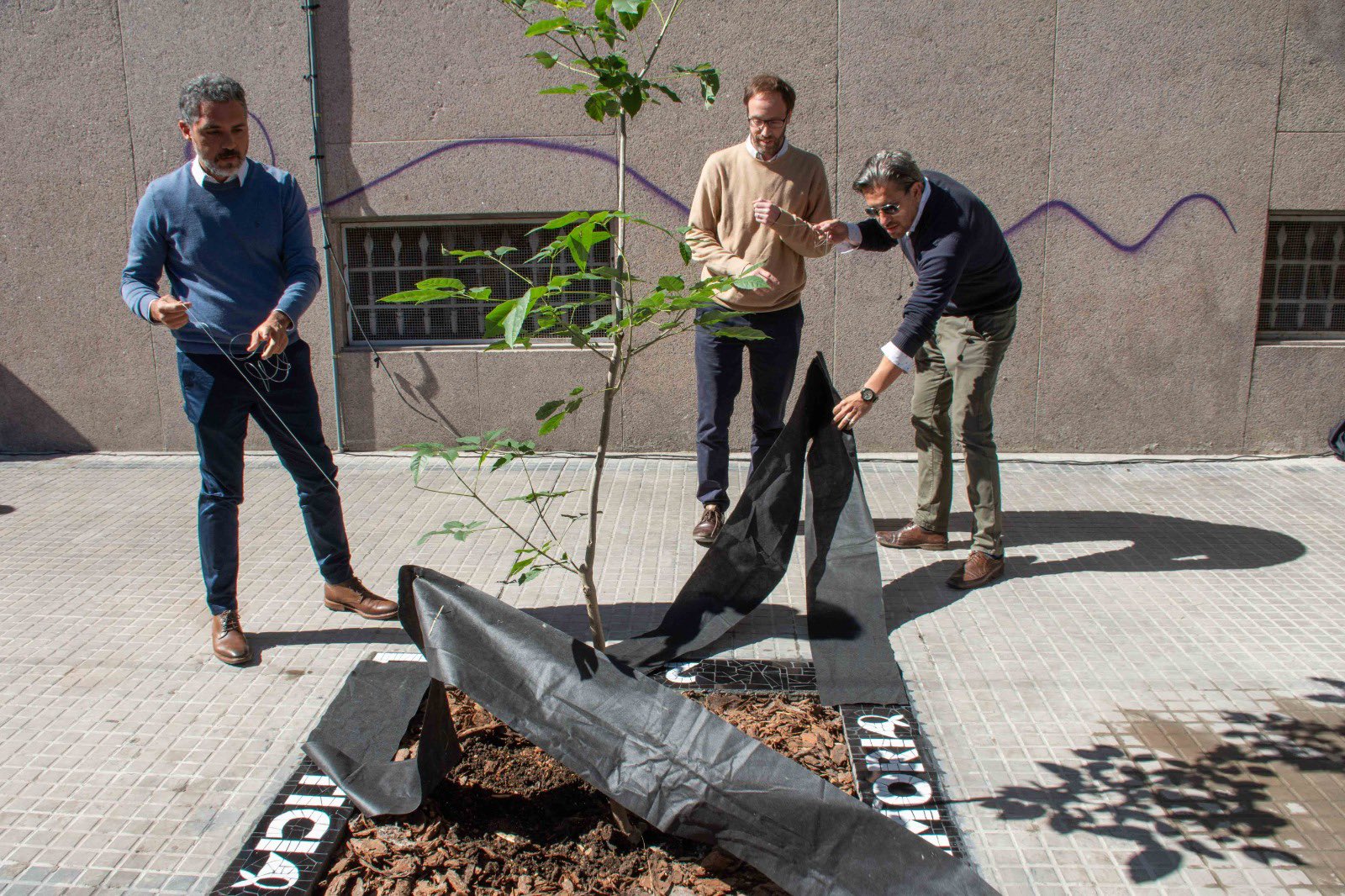 24 M: autoridades provinciales plantaron un árbol conmemorativo