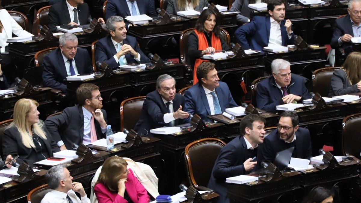 Con apoyo de Pichetto, Diputados aprobó en general la ley Ómnibus