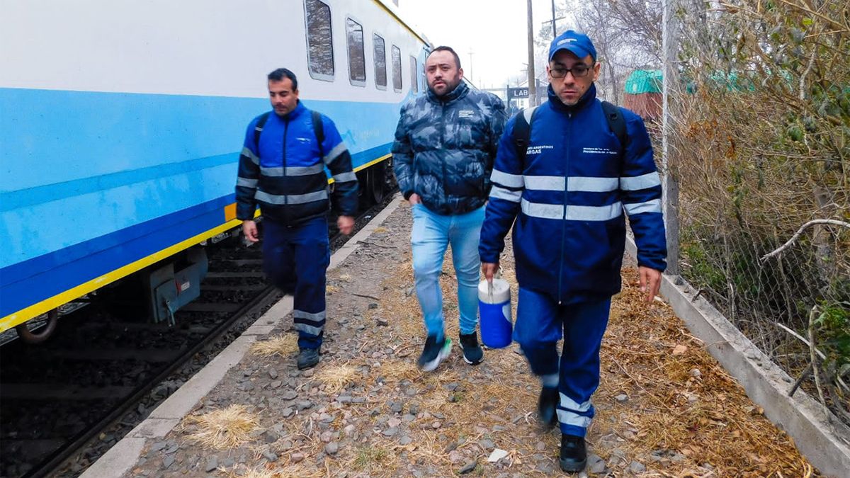 Avanzan los despidos: trabajadores ferroviarios se mantienen en estado de alerta