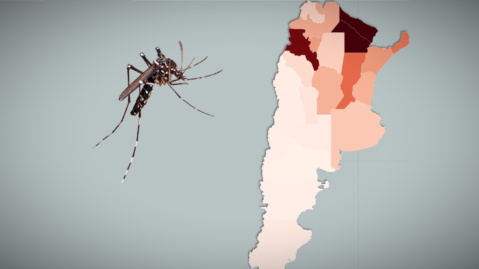 ¿Cómo sigue el brote de dengue en la Argentina?