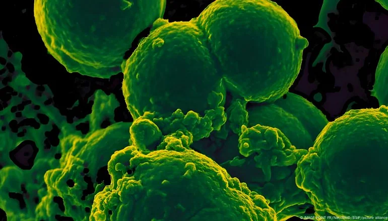 Alarmante: un estudio reveló que la resistencia a los antibióticos podría causar más de 39 millones de muertes en 2050