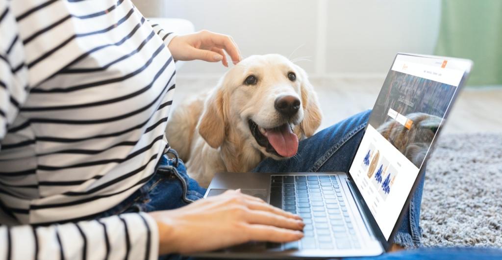 Nuevo censo de mascotas en La Plata: cómo participar y qué se busca saber