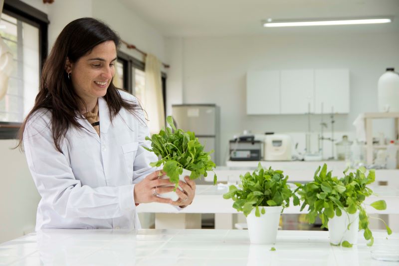 Investigadores de la UNLP desarrollan nuevas técnicas para prolongar la frescura de hortalizas
