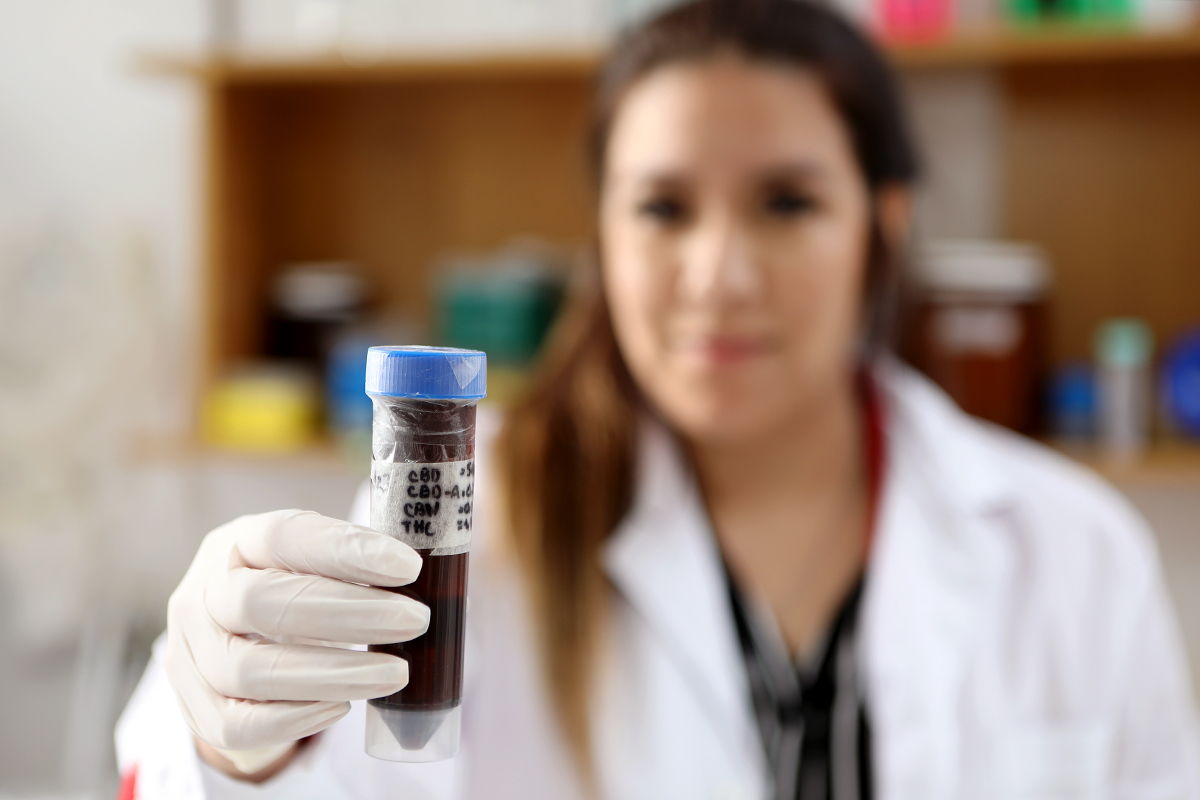 Hallazgo en la UNLP: el cannabis y su impacto en la hipertensión arterial