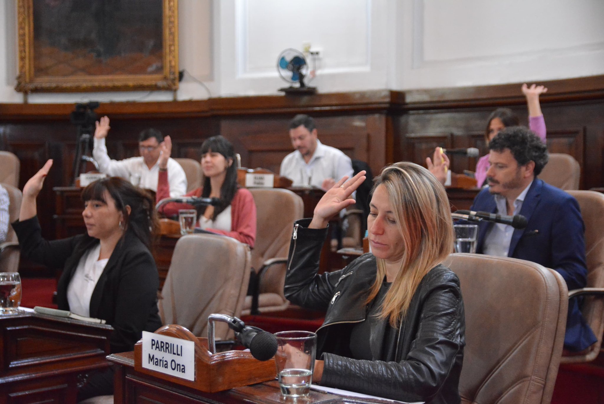 El Concejo Deliberante designará hoy al titular de la Defensoría Ciudadana de La Plata: que función cumple