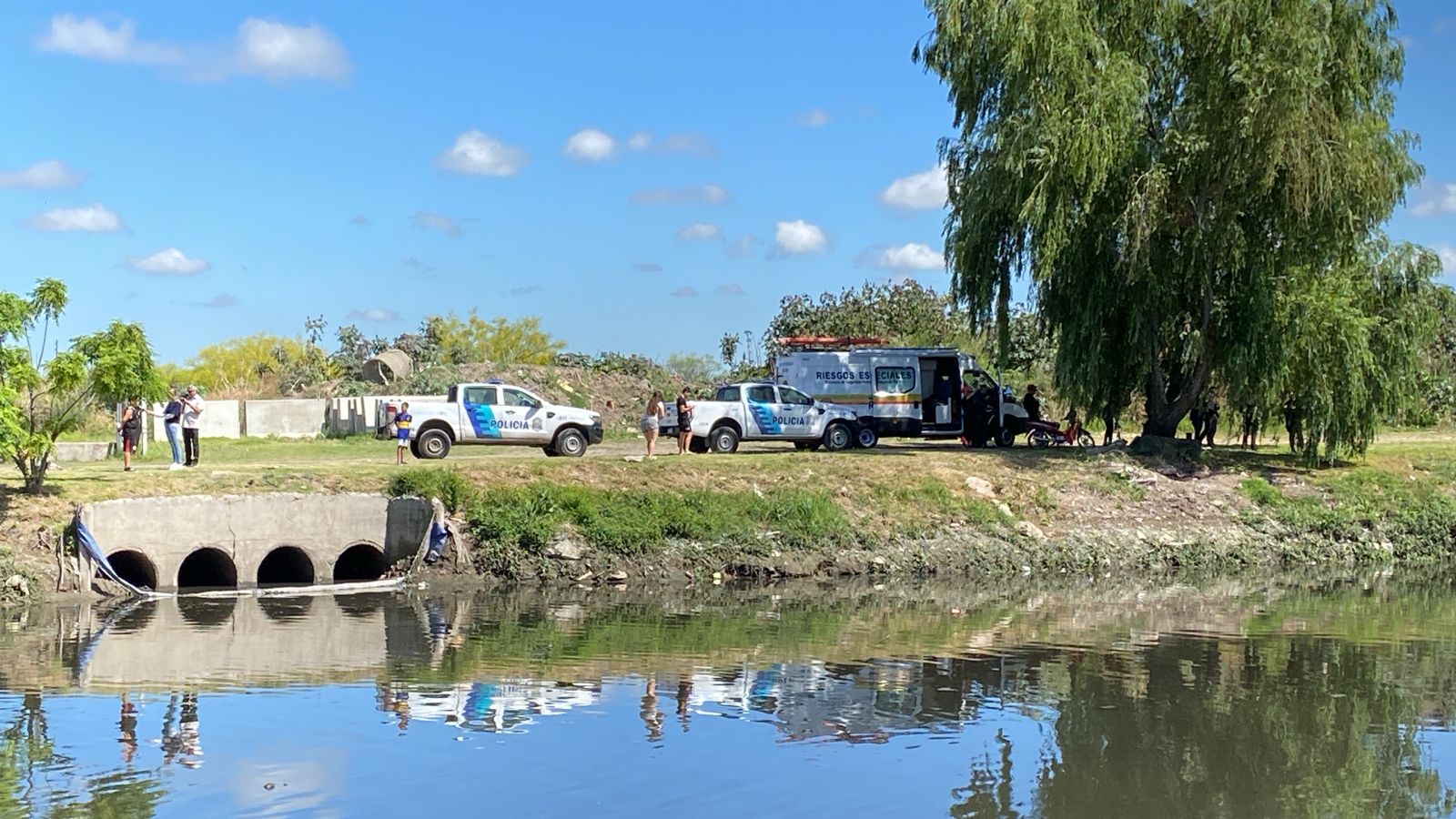 Sorpresa y operativo en La Plata: un lobo marino apareció en el arroyo "El Gato"