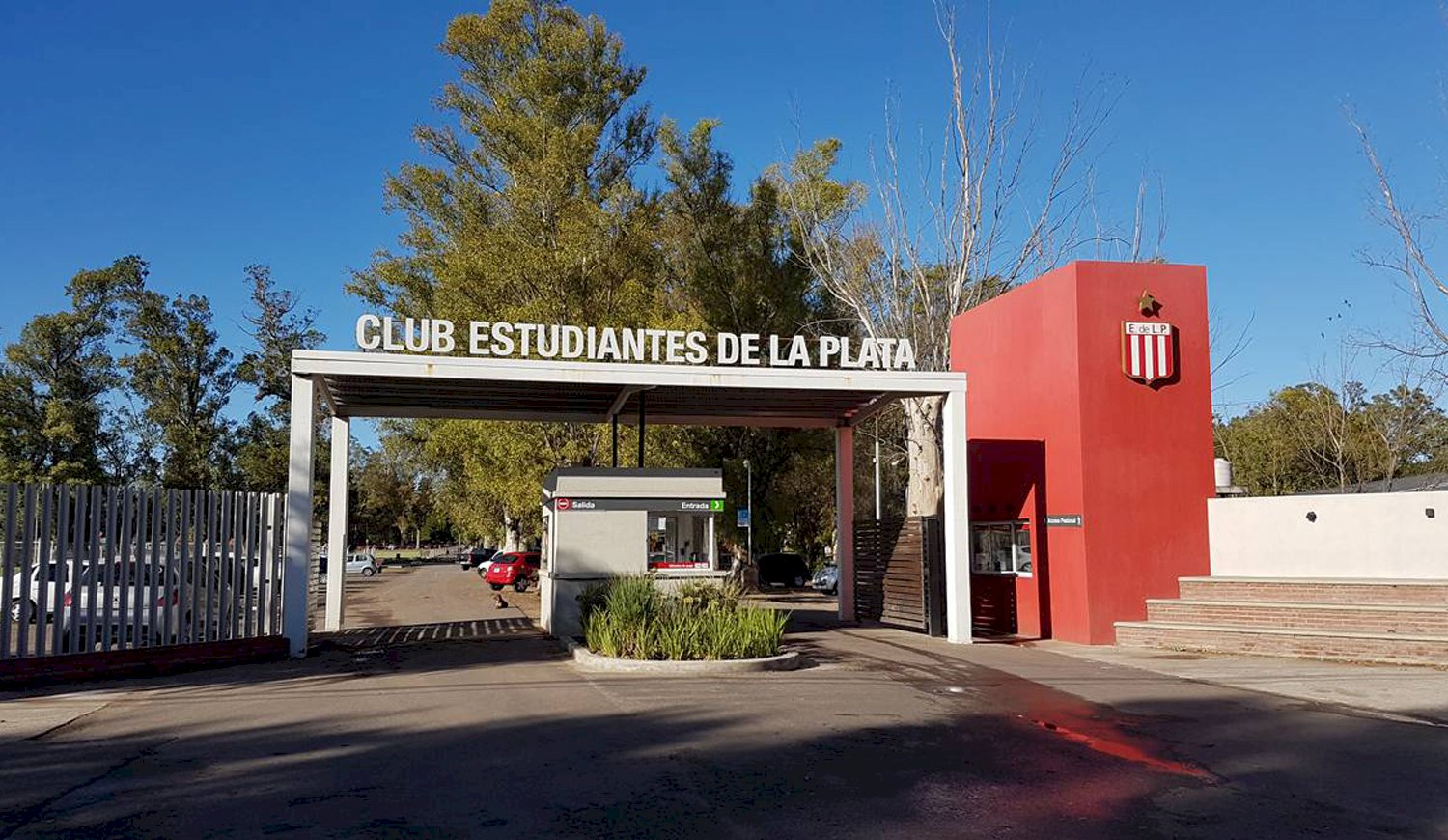 Lucas Alario y Alexis Castro llegan a Estudiantes: cuando firman contrato y por cuanto tiempo