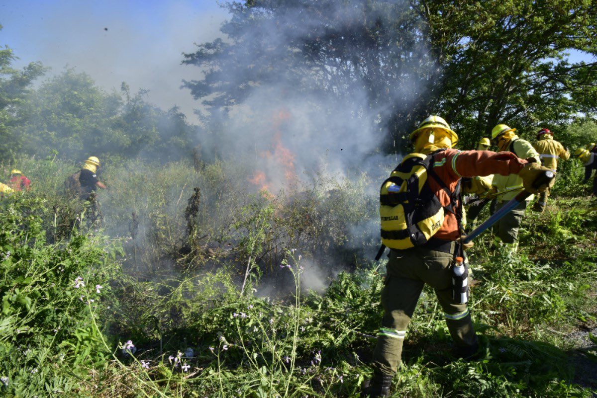 Incendios en Punta Lara: los bomberos intensifican tareas para evitar nuevas llamas