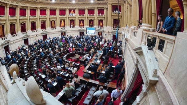 El Senado debate la suspensión de las PASO