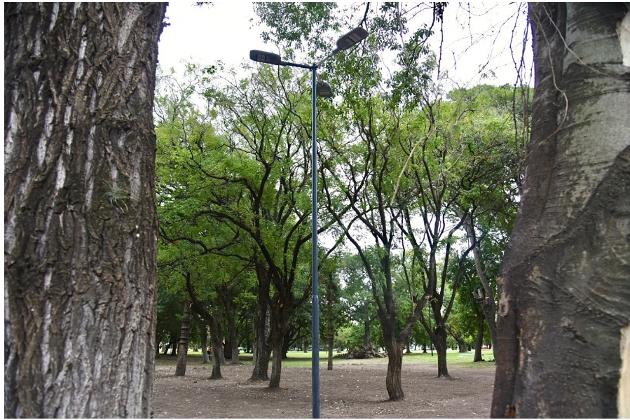 Renovación urbana: así quedó el Parque San Martín tras las mejoras