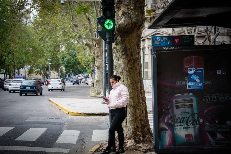 Tiempo en La Plata: mínimas bajas y máximas moderadas hasta el domingo