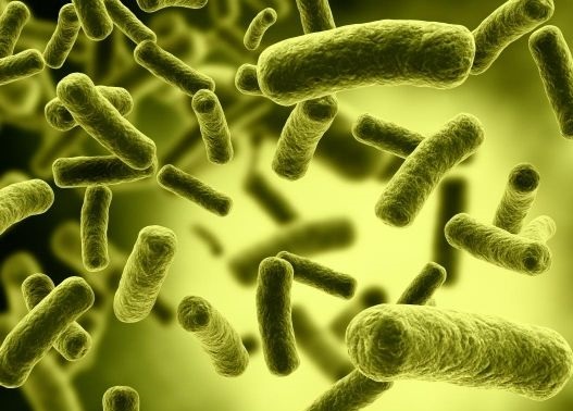 Preocupación en la Provincia: el brote de fiebre tifoidea ya afecta a 15 personas