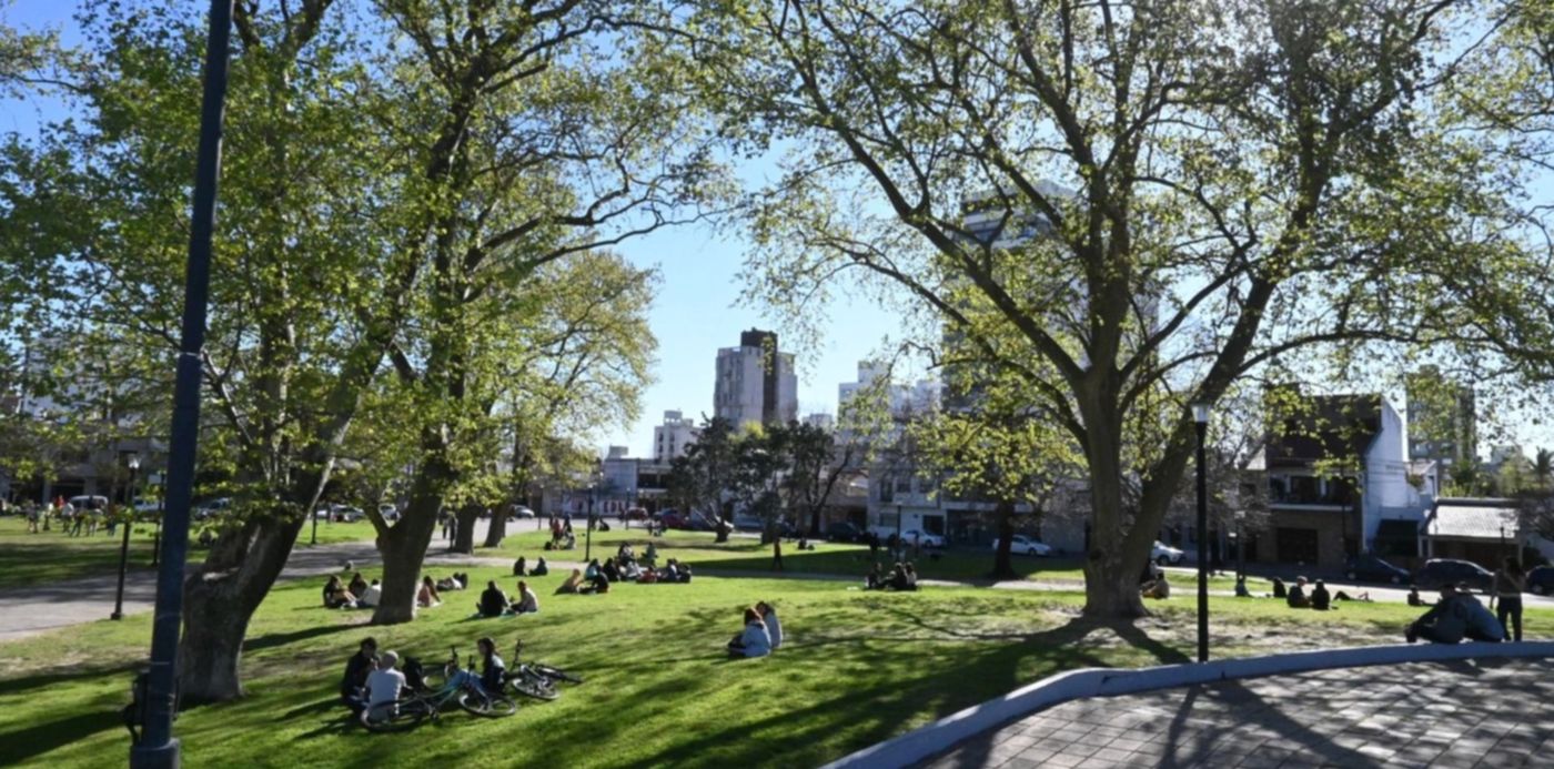 Clima en La Plata: domingo con sol, aire fresco y sin lluvias a la vista