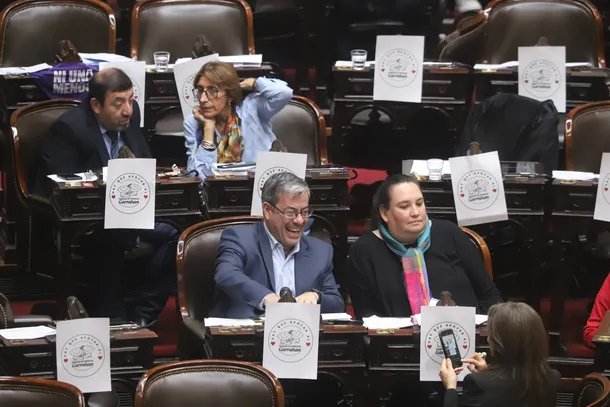 Diputados: se aprobó la ley de emergencia en Discapacidad por amplia mayoría