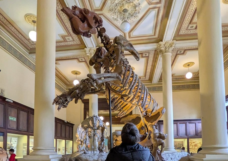 El Museo de Ciencias Naturales y el Planetario, planazos para estas vacaciones de invierno