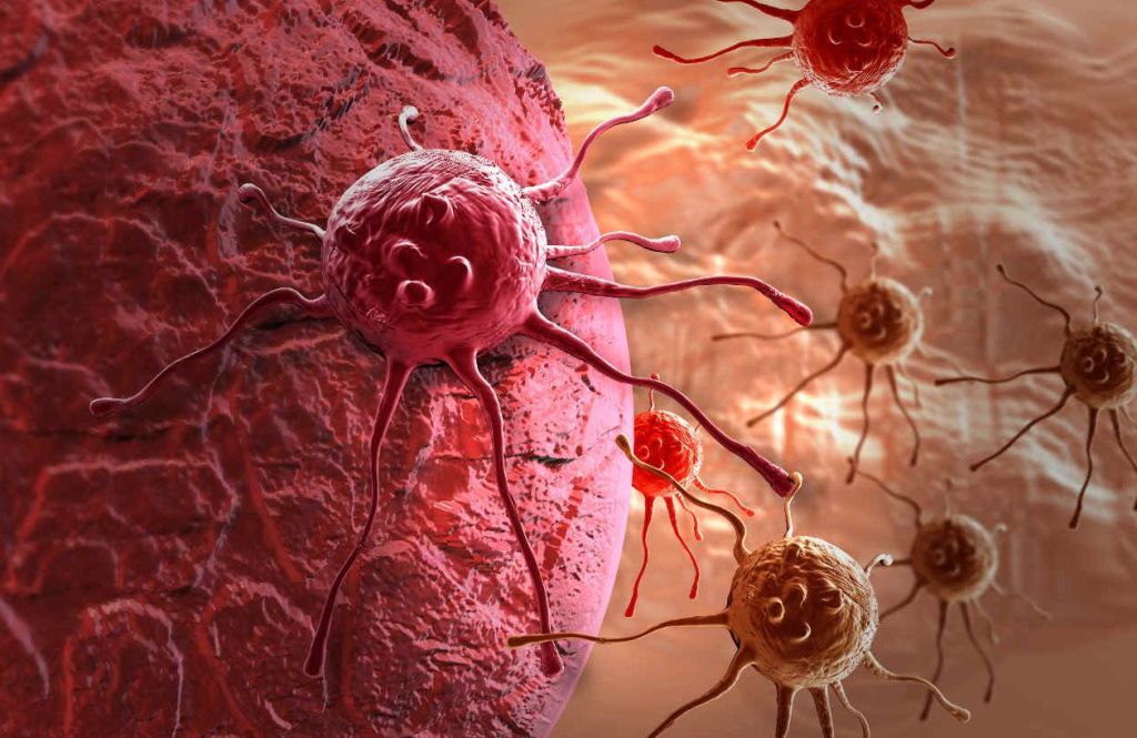 Científicos del Conicet descubren un mecanismo clave del cáncer y abren nuevas vías para combatirlo