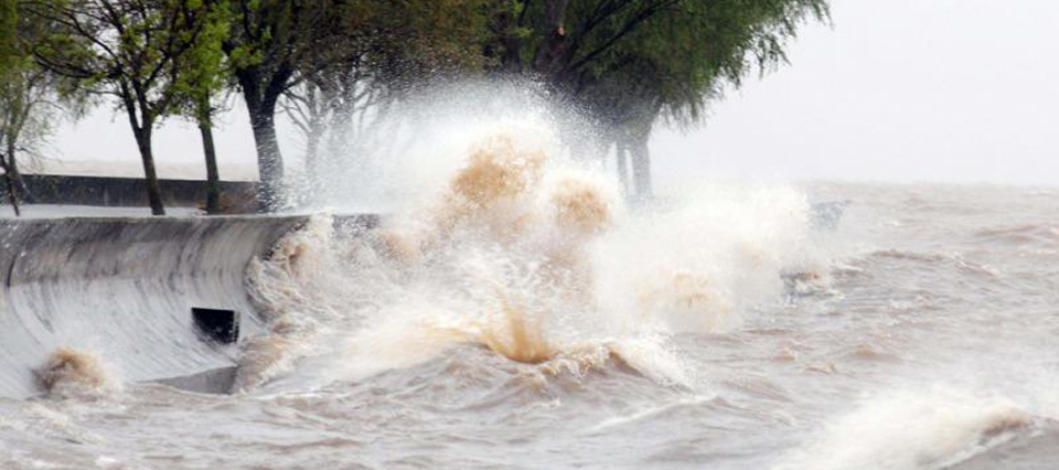 Alerta por viento fuerte y crecida del Río de la Plata: ráfagas de hasta 60 km/h en la región