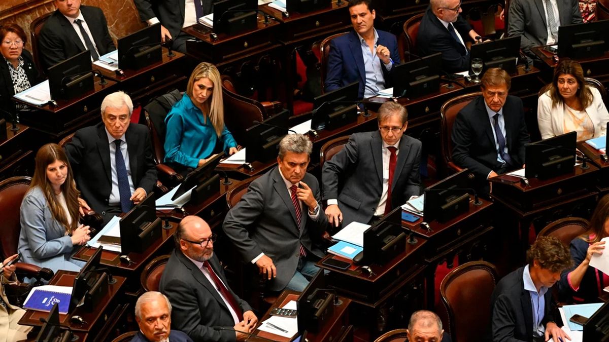 El Senado aprobó el aumento de las jubilaciones y la moratoria previsional