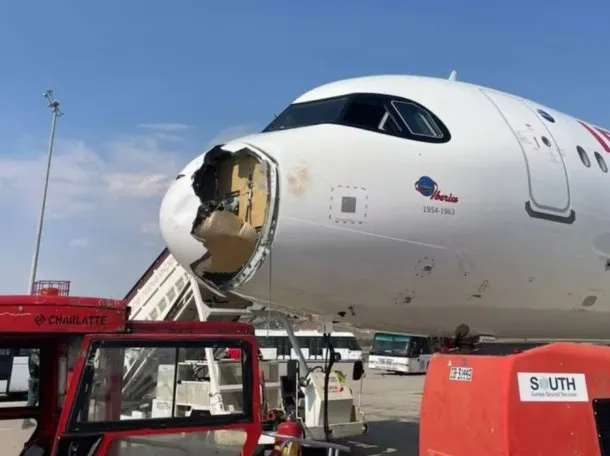 Terror en el aire: un ave obligó a un avión de Iberia a volver de urgencia a Madrid