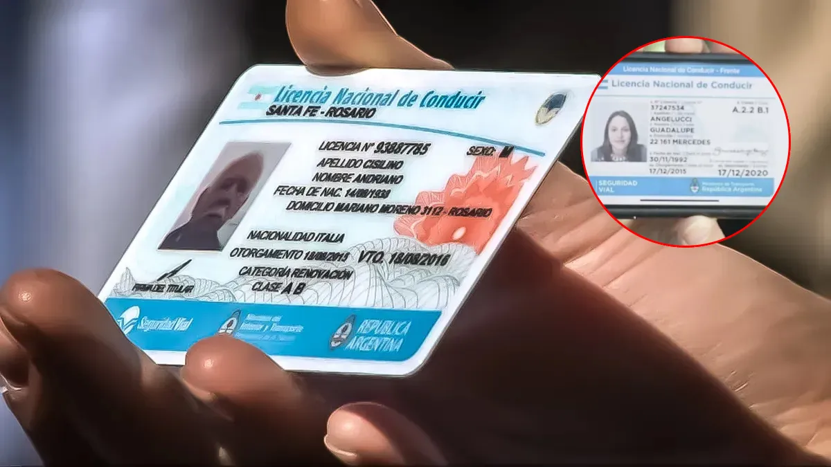 Licencia de conducir: edad límite y cada cuánto renovarla en Argentina