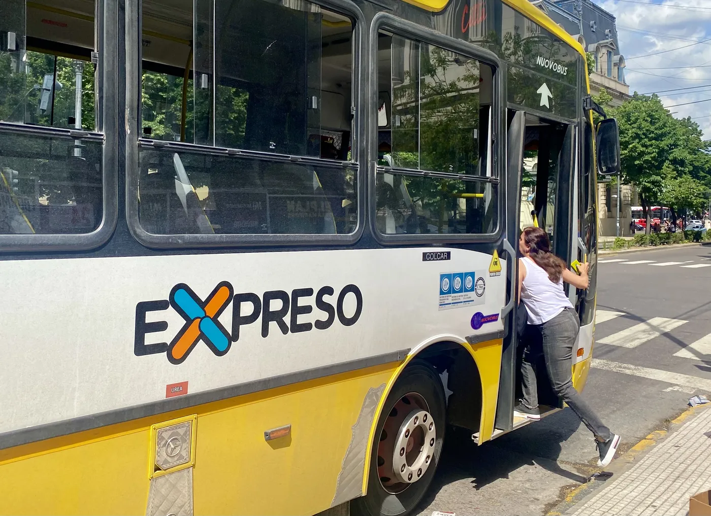 El lunes vuelve a subir el boleto de micro en La Plata: los nuevos valores