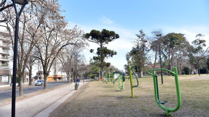 Clima ideal en La Plata: sol y 22°C para este jueves