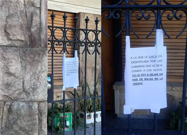 La Plata: un vecino amenazó de muerte a una joven porque le deja comida a los gatos de la calle: "Balas..."