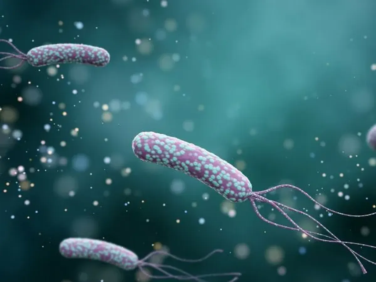 Helicobacter pylori: la bacteria silenciosa que afecta a la mitad de los argentinos