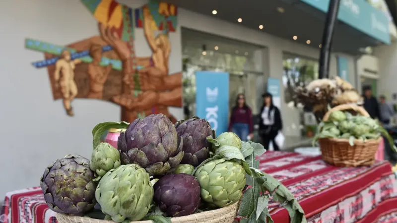 Sabores, música y tradición: llega la Fiesta del Alcaucil a Los Hornos
