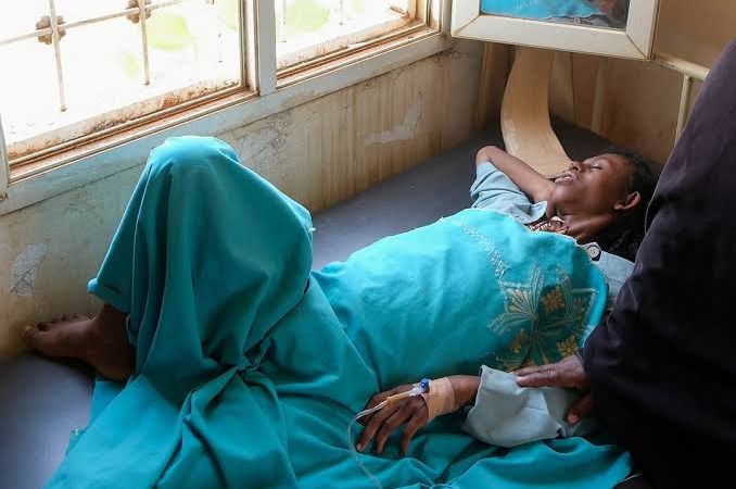 El dengue golpea Sudán mientras las infraestructuras sufren los estragos de la guerra