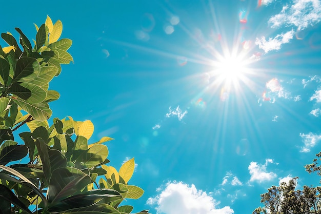 Arranca la semana en La Plata con buen clima y cielo despejado