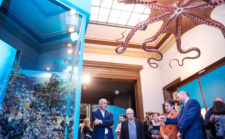 Inauguraron una nueva sala sobre invertebrados en el Museo de Ciencias Naturales