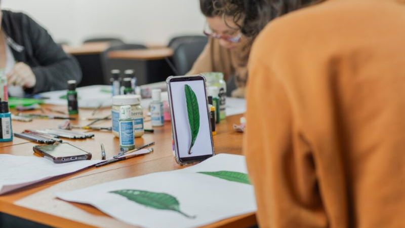 La UNLP lanzó nuevos talleres para estudiantes: conocé todas las propuestas