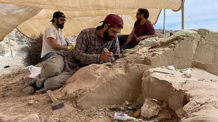 Seguí la transmisión del Conicet en busca de fósiles de dinosaurios en la Patagonia