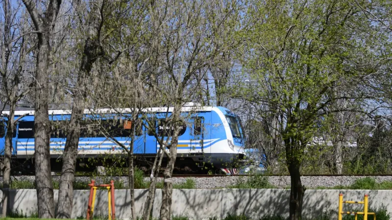 Demoras y servicio limitado en el Tren Roca por una falla técnica en Berazategui