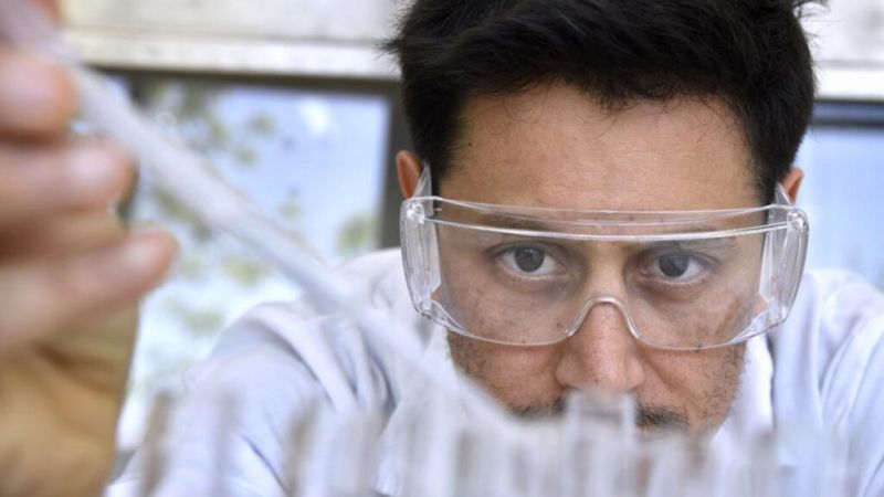 Desarrollan un sensor clave para controlar pesticidas en cítricos