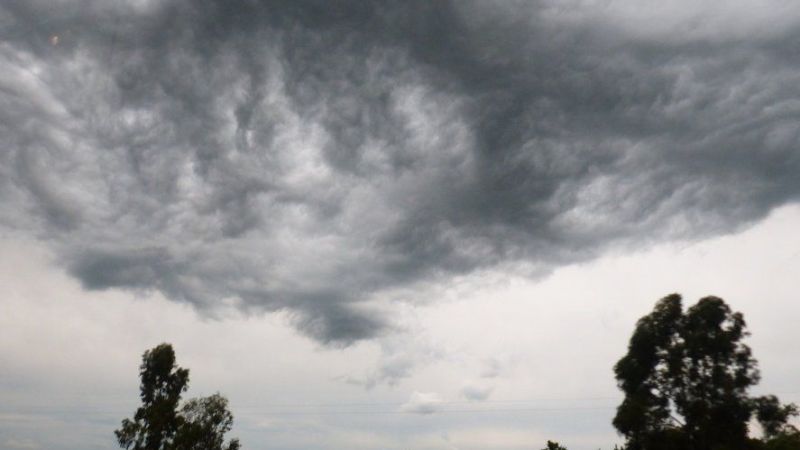 La Plata bajo alerta amarillo: cómo va a estar el tiempo entre la tarde y la noche