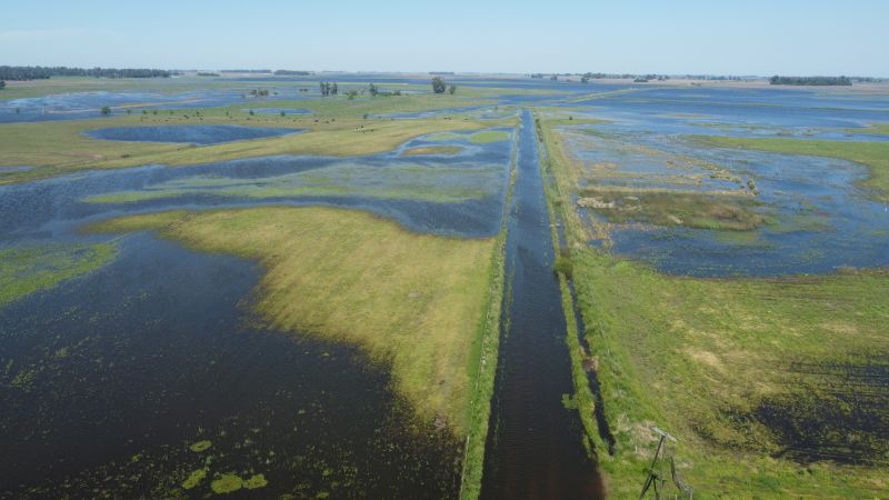 La Provincia exime del Impuesto Rural a productores afectados por las inundaciones