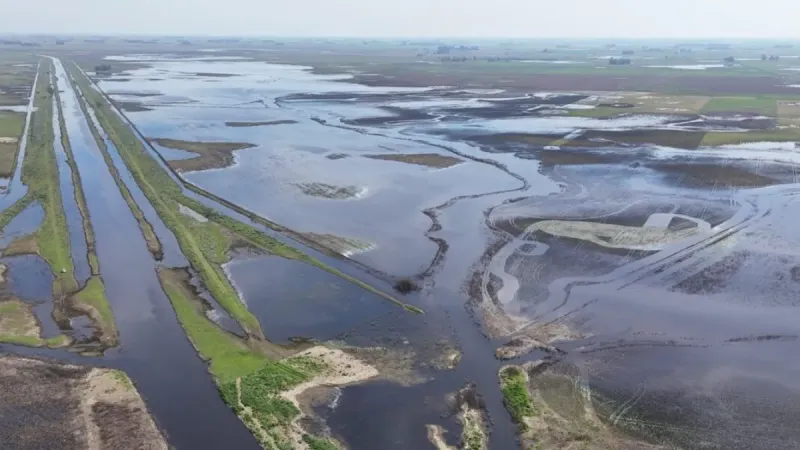Temporal en el campo bonaerense: Nación declaró la emergencia agropecuaria y Provincia sumó alivio fiscal
