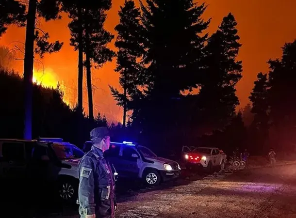 Chile ofreció ayuda para enfrentar los incendios en la Patagonia