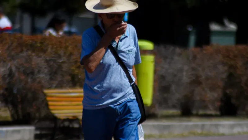 Ola de calor en La Plata: lunes sofocante con máxima de 36°C