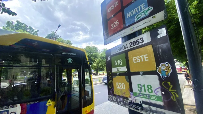 Rige un nuevo aumento de micros en La Plata: cuánto cuesta el boleto desde hoy