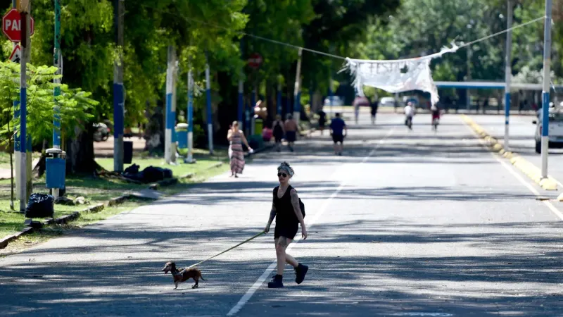 Buen tiempo en La Plata: se viene un finde de verano