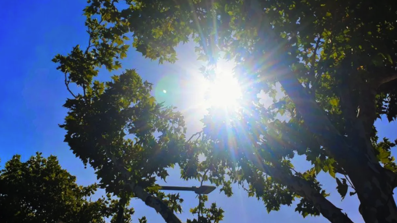 Lunes con sol pleno y calor en La Plata