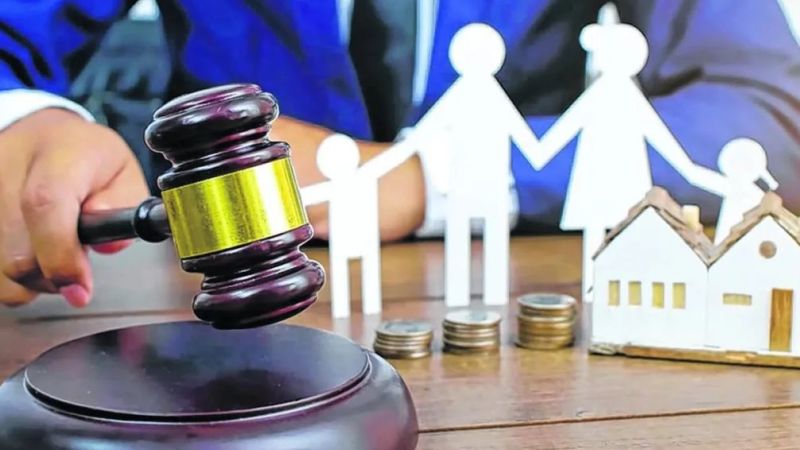 Reforma de la Ley 15.513: un paso hacia una justicia alimentaria más ágil en la provincia