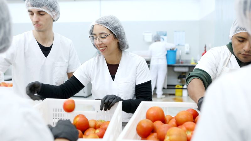 La UNLP impulsa la producción de tomate deshidratado junto a cooperativas del cordón hortícola